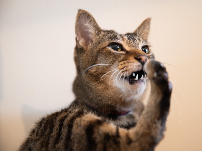 歯は4本しかないけれど、しっかり食べて立派に成長した宗介。この日もやんちゃっぷりを発揮