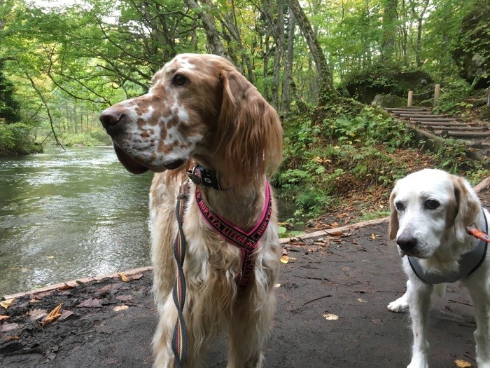 17歳8カ月(右) 奥入瀬渓流へ(長谷川さん提供)