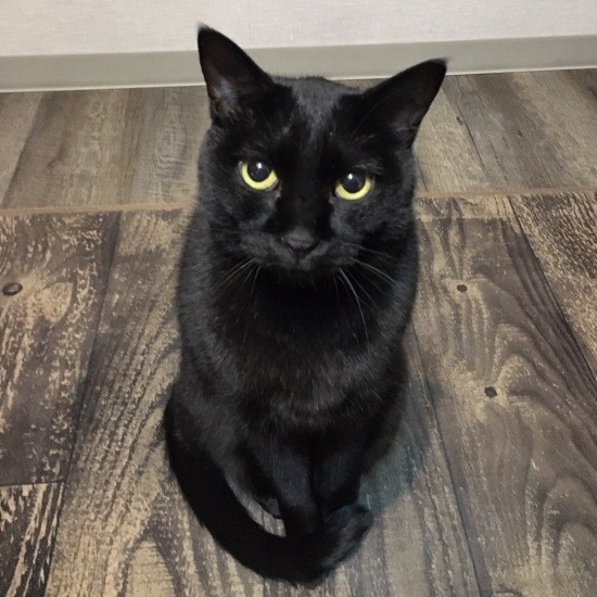 迎えて1年後に心を全開にしたパン(あいみさん提供)