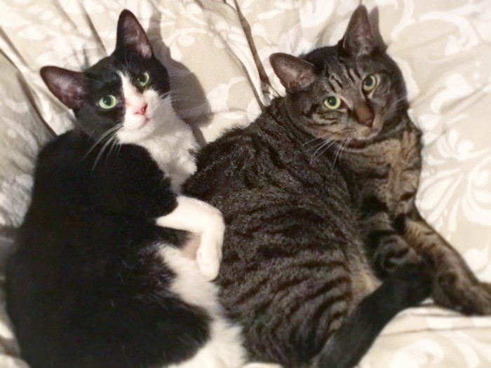 スイカくんと(橋本京子さん提供)