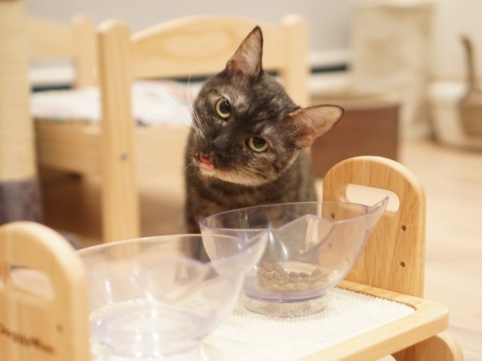 「ふふ、おいしい!」