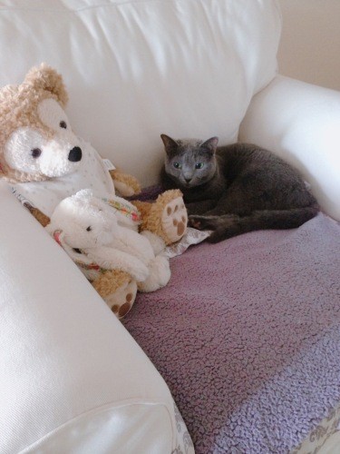 「誰より可愛いアタシ」(まみさん提供)