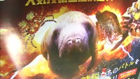 へんないきものナンバー1は?人気投票企画に新屋島水族館のマナティがエントリー 高松