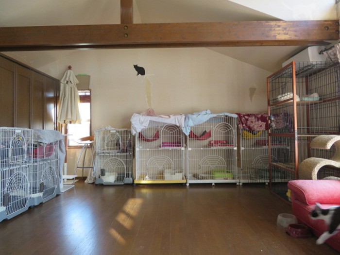 亀山さんの自宅内にあるシェルター(ねりまねこ提供)