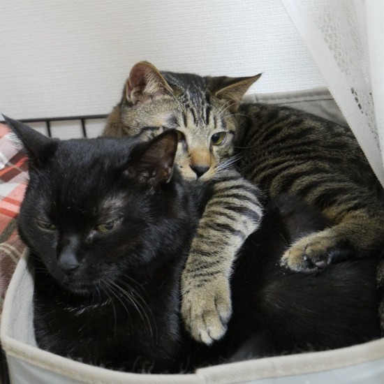 甘えん坊は、5年前と変わってなかった~!