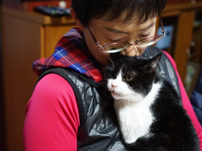 ライバルのお外の「きゅう」が亡くなり、甘えん坊になったくろこ