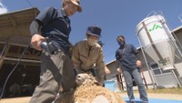 農業や畜産を学ぶ高校生がヒツジの毛刈り体験 すっきりしてイケメェ~ンに 岡山