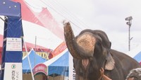 「木下大サーカス」の会場で消防訓練 ゾウの放水パフォーマンスも 岡山