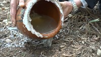 水がめで天気や稲の出来を占う伝統行事 今年の結果は? 岡山・新見市