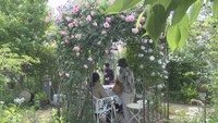 民間庭園「ガーデン四季」のバラが見頃 5月20日まで一般公開 高松市の女性が丹精込め育てる