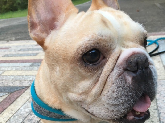 どアップにも耐えられます