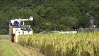 稲刈りシーズン到来 新見市で「ヒメノモチ」など刈り取り作業が始まる 岡山