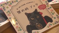 にゃんとも素敵♪ お庭番頭「黒の助」のフォトブックお披露目 岡山市・夢二郷土美術館