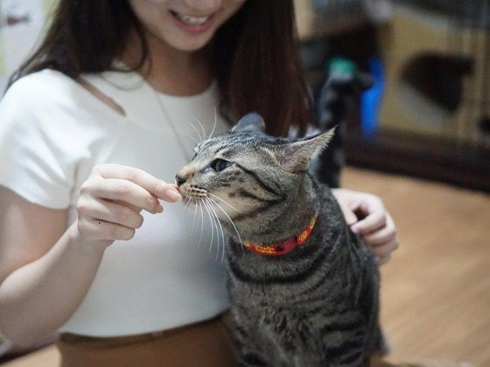 「わーい、おいしいな」