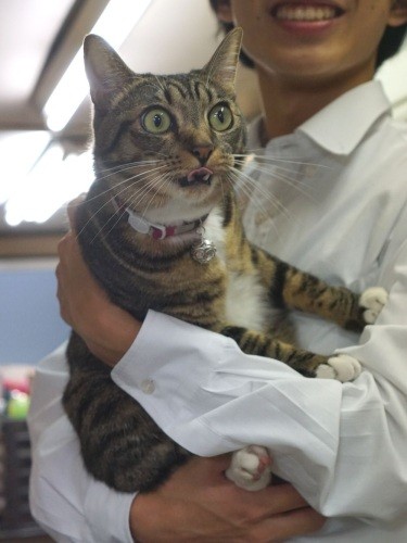 「ずっと笑っていきましょう~。大学受験もがんばれ~」