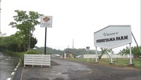 観光農園業「西山ファーム」が破産手続き開始へ 出資法違反の疑いで5月に家宅捜索 岡山