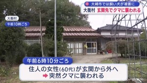 洗濯物を干そうと外へ…鉢合わせたクマに襲われ女性がけが 宮城・大衡村 大崎市では飼い犬が連れ去られる被害も