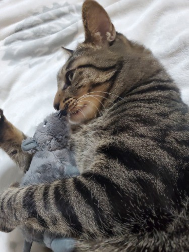 ぎゅーっと抱きしめてみる