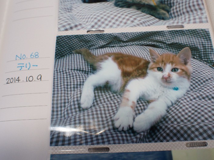 店内に置かれたアルバムには、在籍した83匹の写真が