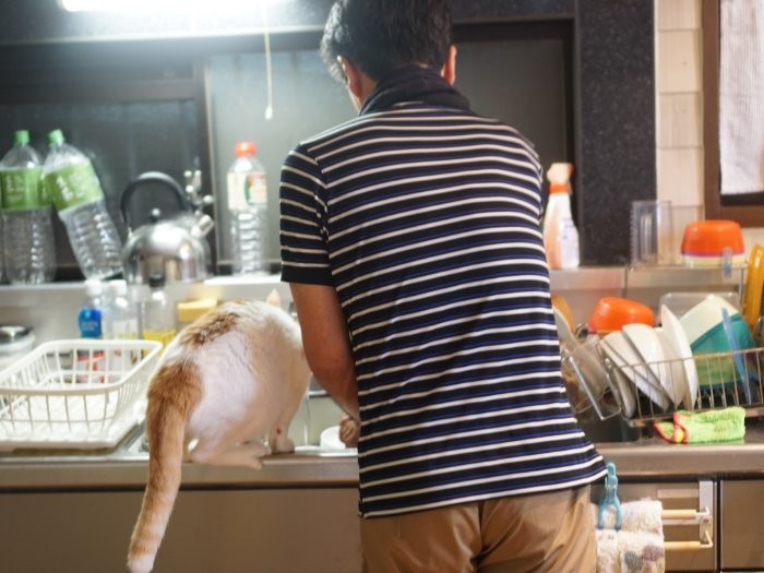 「さあ、今日も後片付け」