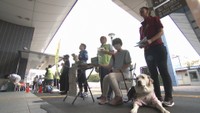 盲導犬の育成に 岡山リベッツ監督らが街頭募金を呼び掛け