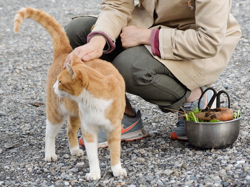 あっちには、何があるのかな?(小林写函撮影)