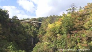 紅葉の名所 宮城・大崎市の鳴子峡 木々が色付き始める