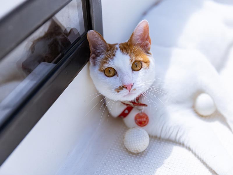 ご満悦のご様子のモモタン