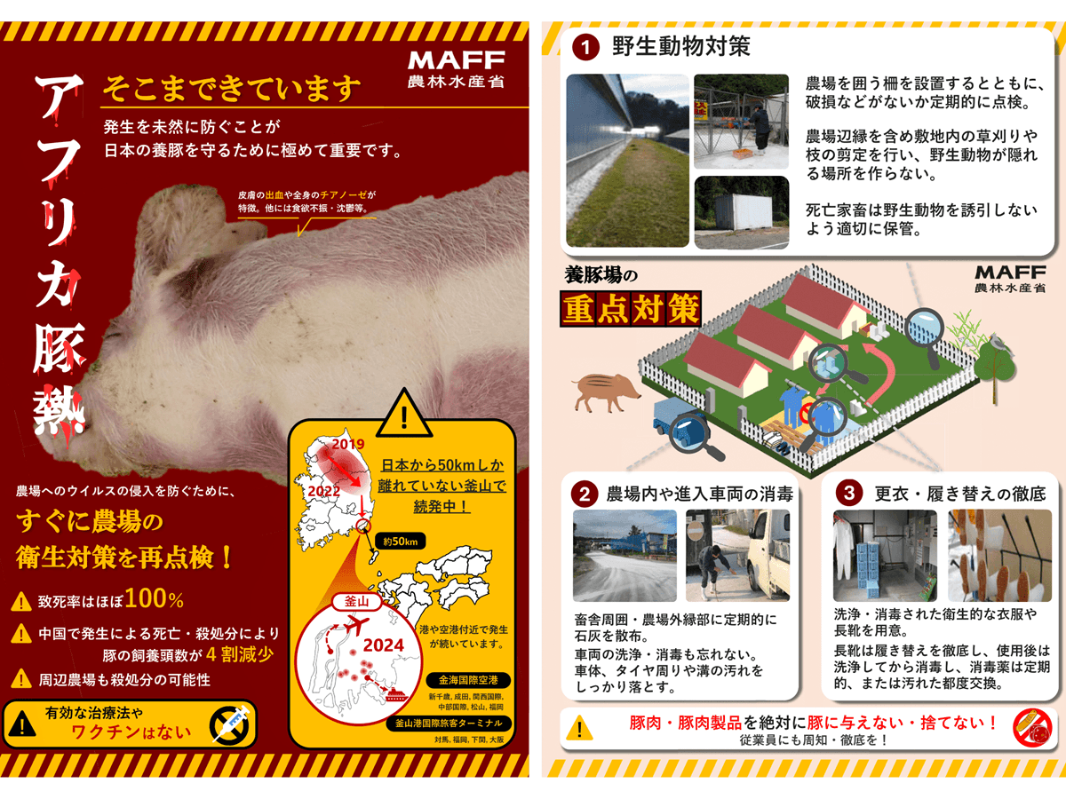 アフリカ豚熱（ASF）とは　台湾での疑い例に農水省が侵入防止を呼びかけ