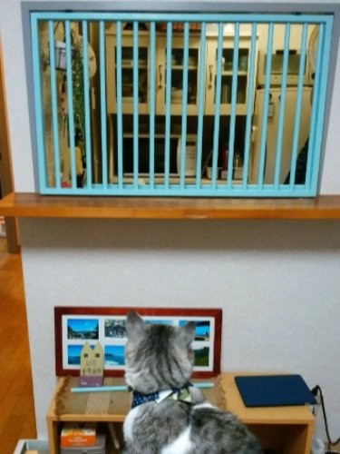 締まってる 裏に回ろう