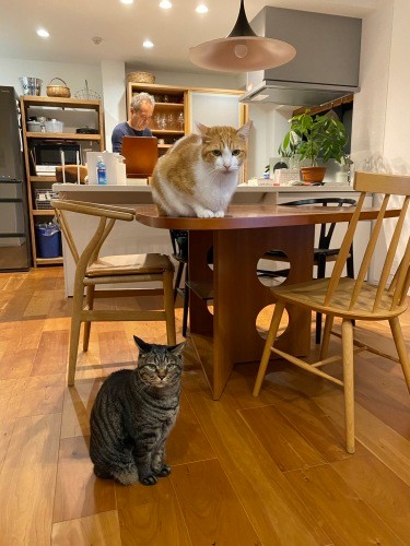 「天の保護時も久太郎の手術時も不安な気持ちでいっぱいでしたが、夫がふだんと変わらず過ごしてくれて、私も落ち着くことができました」と千鶴子さん(千鶴子さん提供)