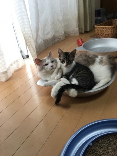 狭くてもなんでも、とにかくうにくんが好き