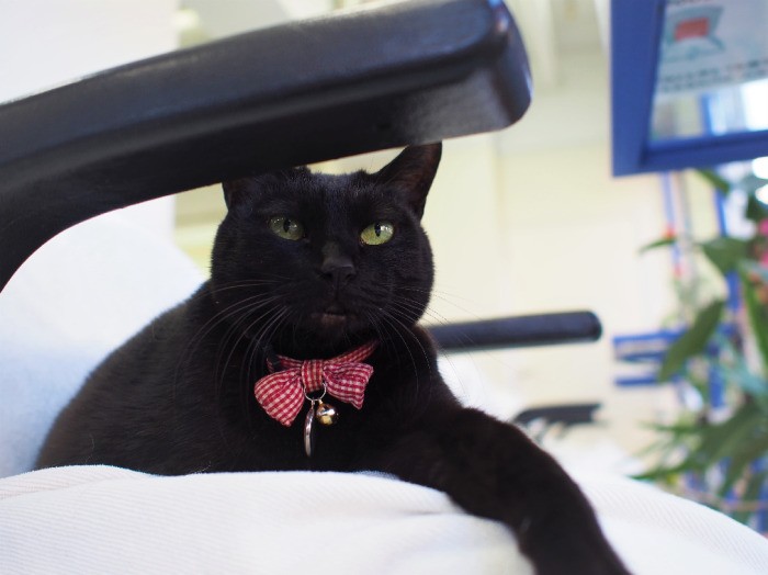 出戻りプリティーも、いまやこの貫禄