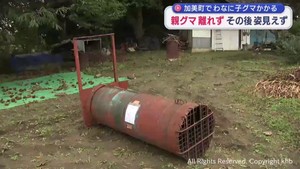 宮城・加美町 わなに子グマかかる 親グマ離れず 約2時間半後に姿が見えなくなる