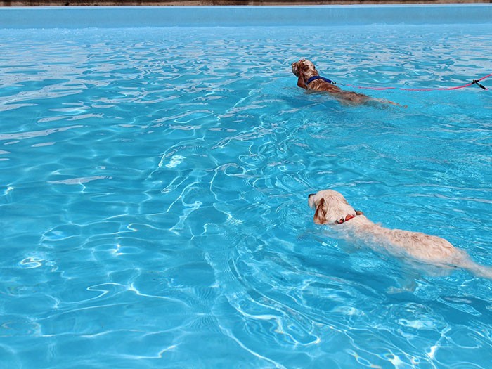 18歳5カ月(下)ひぬまのプールですいすい(長谷川さん提供)