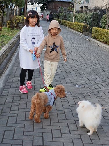 公園に行く途中、知らない犬が近づいた「少しドキドキ、でも大丈夫」