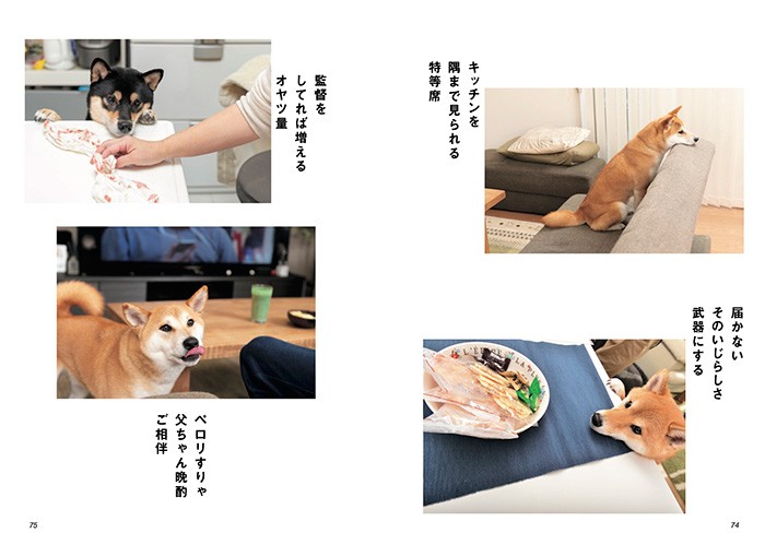食事がらみのあるある川柳。shiba's eyesより(辰巳出版提供)