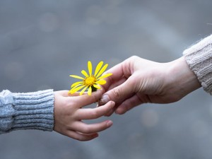 遺贈と相続の違いは? 包括遺贈と特定遺贈、手続きや注意点も解説