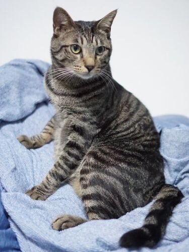 2020年.3歳で6㎏に