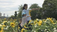 広大なヒマワリ迷路に高校生が園児を招待「笑顔で暑さも吹き飛んだ」 香川・丸亀市