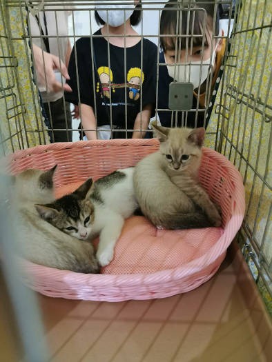 子どもたちが釘付けに(飼い主さん提供)