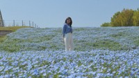 青いじゅうたん「ネモフィラ」が見頃 映える撮影のコツは? 香川・国営讃岐まんのう公園