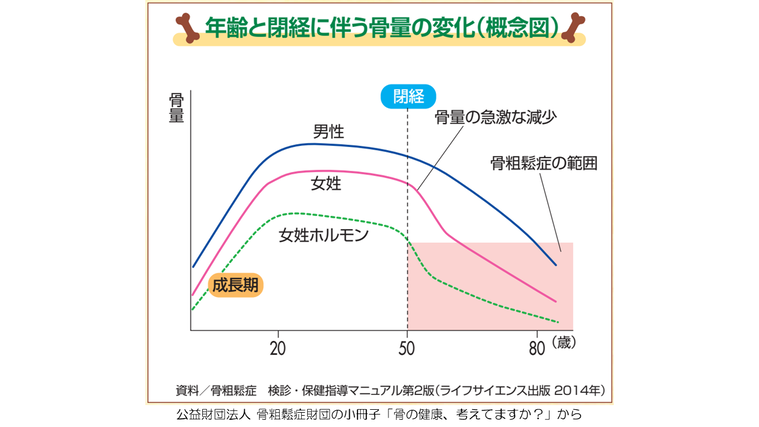 年齢と閉経に伴う骨量の変化