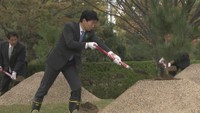 天皇・皇后両陛下がお手植えされた苗木を岡山市の公園に定植 11月10日には真庭市の公園にも