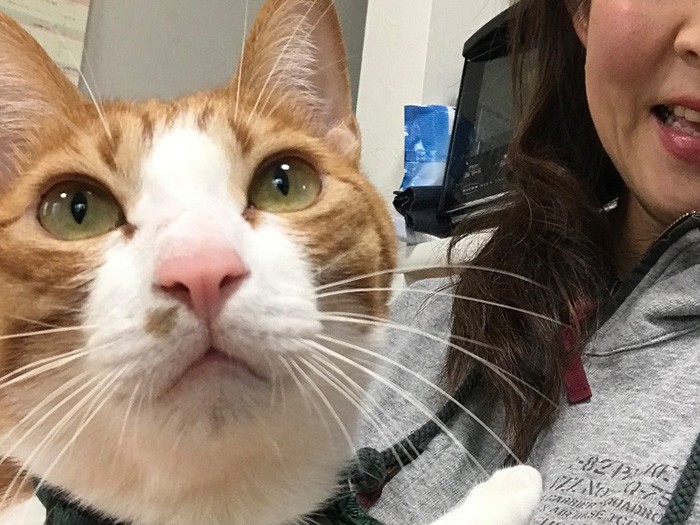 どアップにも耐えられます