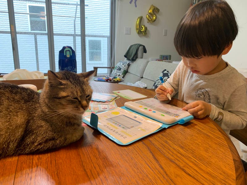 息子さんと過ごす木瓜(もっか)(えりさん提供)