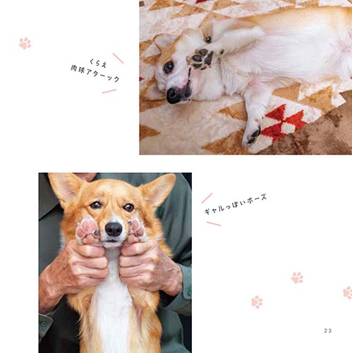 愛しい肉球。くらえ肉球アターック、ギャルっぽいポーズ (『コギおてて』より)