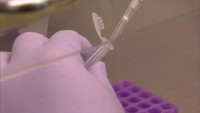 〈新型コロナ〉岡山県で11人の感染を確認 感染者県内で644人に