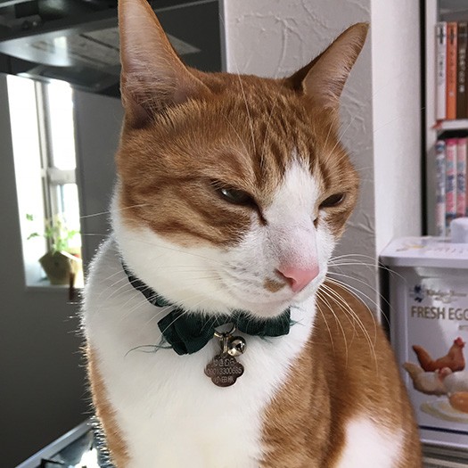 ちょっと流し目で、大人顔してみた