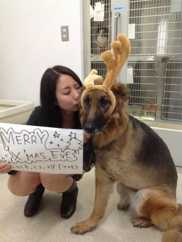 クリスマスにはトナカイに変身(三橋さん提供)